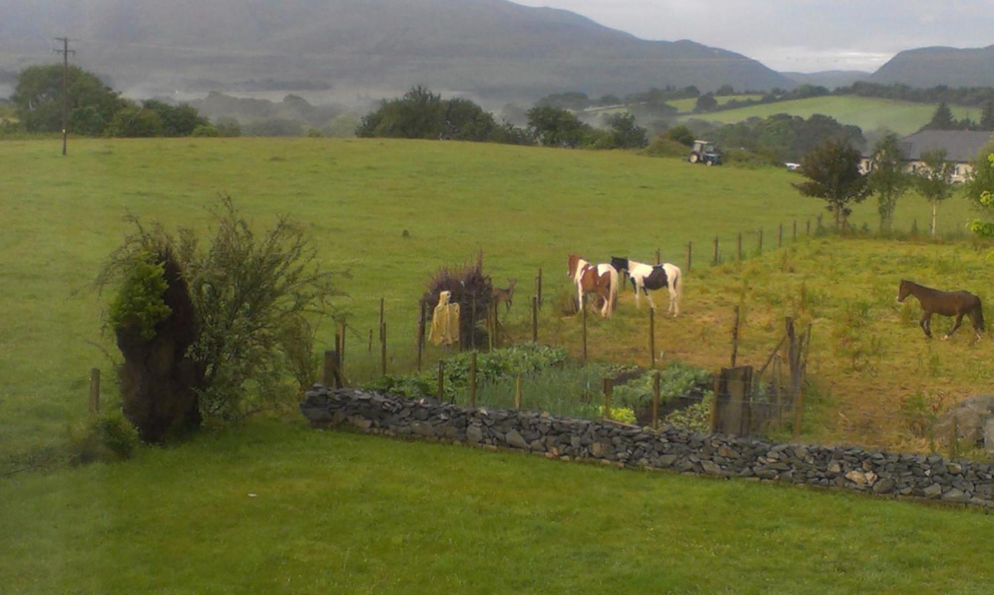 Dunn Court House Bed & Breakfast Woodford (Kerry)